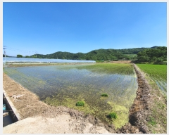  2019Ÿ20681 泲 ֽ  ſ 203-1      (1)