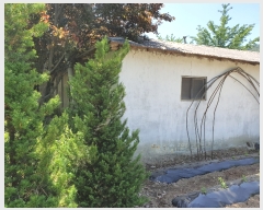  2019Ÿ20681 泲 ֽ  ſ 203-1      (1)