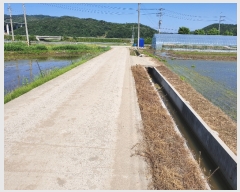  2019Ÿ20681 泲 ֽ  ſ 203-1      (1)