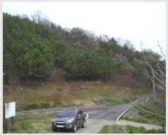  2019Ÿ��939 �泲 ���ֽ� �켺�� ��õ�� ��13      ����(�Ӿ�)���