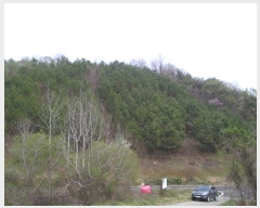  2019Ÿ��939 �泲 ���ֽ� �켺�� ��õ�� ��13      ����(�Ӿ�)���