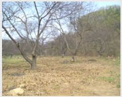  2019Ÿ20254 泲 ֽ ȸ ø 386-4      ()