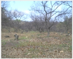  2019Ÿ20254 泲 ֽ ȸ ø 386-4      ()