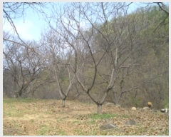  2019Ÿ20254 泲 ֽ ȸ ø 386-4      ()