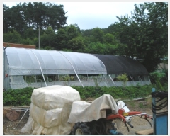  2019Ÿ20858 泲 ֽ 켺 ︮ 347      (1)