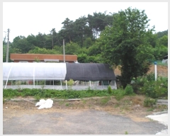  2019Ÿ20858 泲 ֽ 켺 ︮ 347      (1)