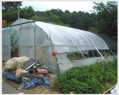  2019Ÿ20858 泲 ֽ 켺 ︮ 347      (1)