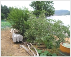  2019Ÿ20858 泲 ֽ 켺 ︮ 347      (1)