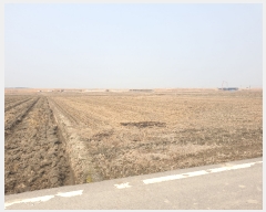  2019Ÿ2075 泲  մ  31-4      ()