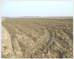  2019Ÿ2075 泲  մ  31-4      ()