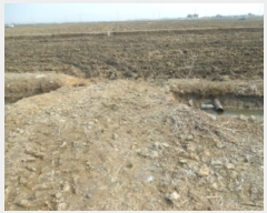  2019Ÿ2075 泲  մ  31-4      ()