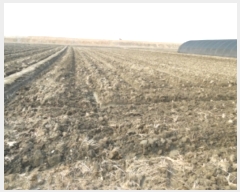  2019Ÿ2075 泲  մ  31-4      ()