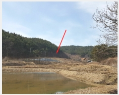  2019Ÿ50715 泲 ¾ȱ ҿ  66-2      (Ӿ)