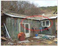 2019Ÿ50715 泲 ¾ȱ ҿ  66-2      (Ӿ)