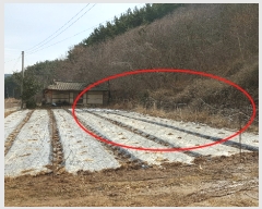  2019Ÿ50715 泲 ¾ȱ ҿ  66-2      (Ӿ)