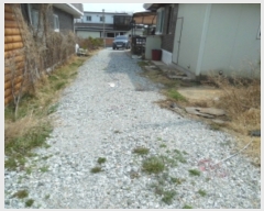  2019Ÿ51336 泲   Ҹ 437-24      ð