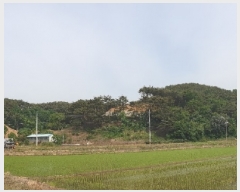  2019Ÿ��52261 �泲 ������ ����� �װ 187-1      ����(��1)���