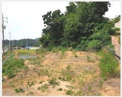  2019Ÿ��52261 �泲 ������ ����� �װ 187-1      ����(��1)���