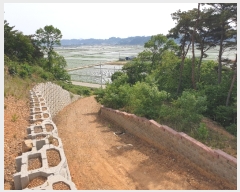  2019Ÿ��52261 �泲 ������ ����� �װ 187-1      ����(��1)���