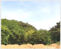  2019Ÿ��52261 �泲 ������ ����� �װ 187-1      ����(��1)���