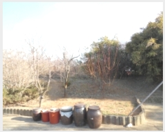 2019Ÿ611 泲  ۻ  238      ()
