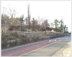  2019Ÿ��3417 ��� ��õ�� ��ȣ�� �ೲ�� 659      ����(��1)���