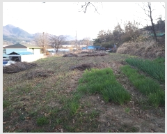  2019Ÿ��3417 ��� ��õ�� ��ȣ�� �ೲ�� 659      ����(��1)���