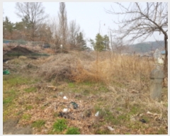  2019Ÿ��3417 ��� ��õ�� ��ȣ�� �ೲ�� 659      ����(��1)���