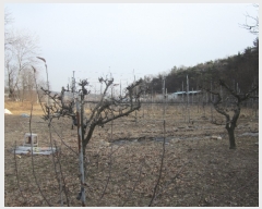  2019Ÿ��623 ��� ��õ�� û��� ������ 406-48      ���ð��