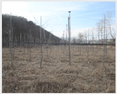  2019Ÿ��623 ��� ��õ�� û��� ������ 406-48      ���ð��