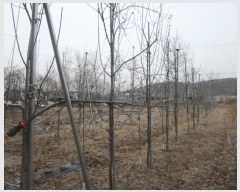  2019Ÿ��623 ��� ��õ�� û��� ������ 406-48      ���ð��