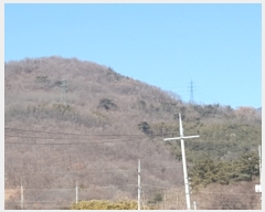  2019Ÿ��100004 �뱸 ���� ��� ��86-1       ����(�Ӿ�)���