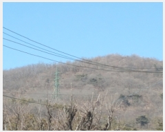  2019Ÿ��100004 �뱸 ���� ��� ��86-1       ����(�Ӿ�)���