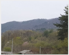  2019Ÿ��70778 ��� ����� ���θ� ���޸� ��6-7      ����(�Ӿ�)���