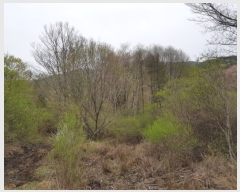  2019Ÿ��70778 ��� ����� ���θ� ���޸� ��6-7      ����(�Ӿ�)���