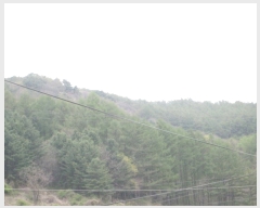  2019Ÿ��70778 ��� ����� ���θ� ���޸� ��6-7      ����(�Ӿ�)���