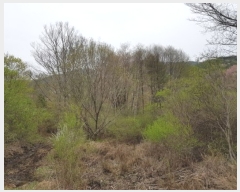  2019Ÿ��70778 ��� ����� ���θ� ���޸� ��6-7      ����(�Ӿ�)���