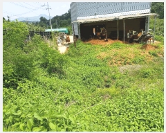  2019Ÿ��71733 ��� ����� ��� 402-1       ������