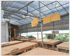  2019Ÿ��71733 ��� ����� ��� 402-1       ������