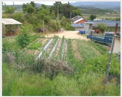  2019Ÿ��10526 ��� �Ǽ��� ��õ�� ��ȣ�� 229-12      ����(��1)���