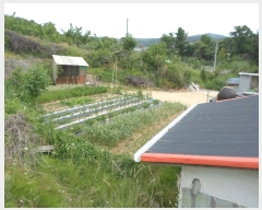  2019Ÿ��10526 ��� �Ǽ��� ��õ�� ��ȣ�� 229-12      ����(��1)���