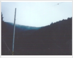  2019Ÿ10793  Ǽ   54-4      (Ӿ)