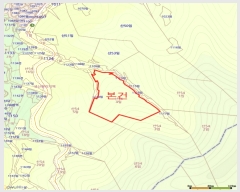  2019Ÿ10793  Ǽ   54-4      (Ӿ)