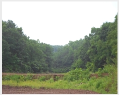  2019Ÿ10687    Ŵ 3-1      (Ӿ)