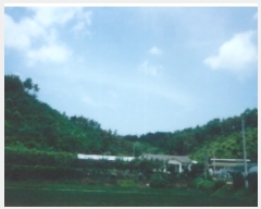  2019Ÿ10687    Ŵ 3-1      (Ӿ)