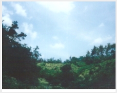  2019Ÿ10687    Ŵ 3-1      (Ӿ)