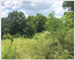  2019Ÿ��10762 ��� �Ǽ��� �Ȼ�� ������ 563      ����(��1)���