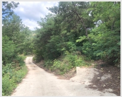  2019Ÿ��10762 ��� �Ǽ��� �Ȼ�� ������ 563      ����(��1)���