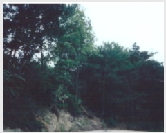  2019Ÿ��10762 ��� �Ǽ��� �Ȼ�� ������ 563      ����(��1)���