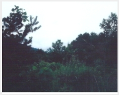  2019Ÿ��10762 ��� �Ǽ��� �Ȼ�� ������ 563      ����(��1)���